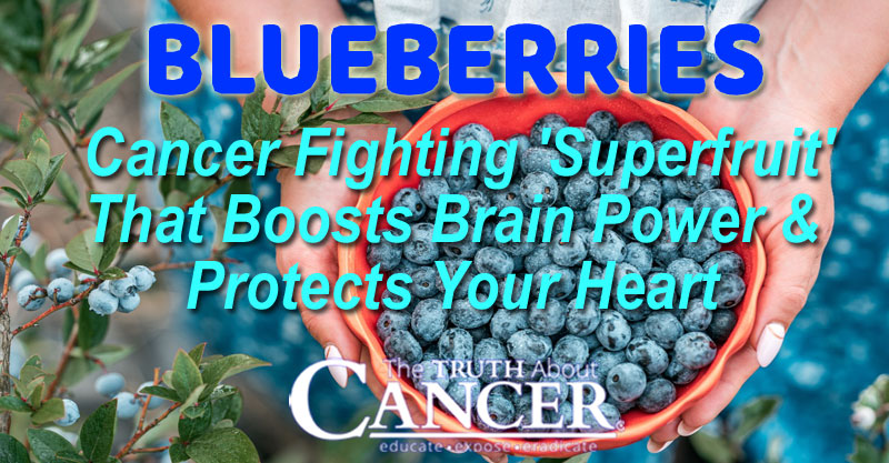 Blueberries: Cancer Fighting 'Superfruit' That Boosts Brain Power & Protects Your Heart