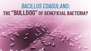 Bacillus Coagulans: A Resilient Probiotic for Maximum Digestive Support