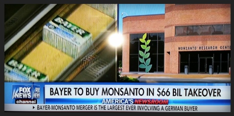 Bayer Monsanto Merger Fox News