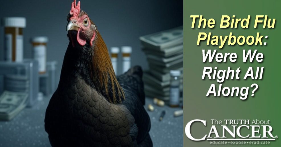 The Bird Flu Playbook: Were We Right All Along?