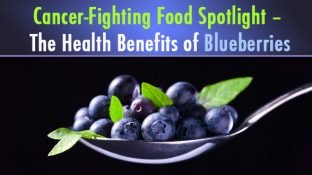 Cancer-Fighting Food Spotlight – The Health Benefits of Blueberries