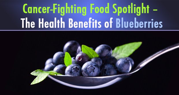 Cancer-Fighting Food Spotlight – The Health Benefits of Blueberries