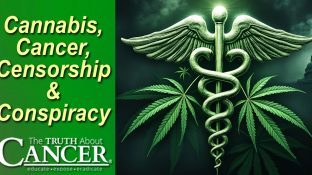 Cannabis, Cancer, Censorship & Conspiracy
