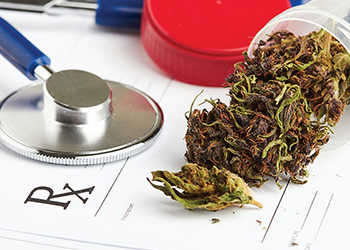 cannabis has medicinal uses