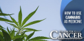 How to Use Cannabis as Medicine