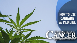 How to Use Cannabis as Medicine