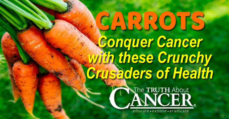 CARROTS: Conquer Cancer with these Crunchy Crusaders of Health