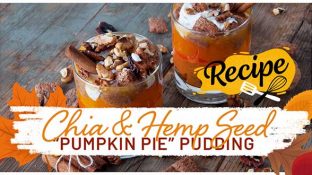 Chia & Hemp Seed “ Pumpkin Pie” Pudding {Recipe}