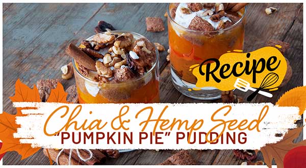 Chia & Hemp Seed “ Pumpkin Pie” Pudding {Recipe}