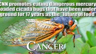 Counterfeit News Network (CNN) promotes eating dangerous mercury-loaded cicada bugs that have been underground for 17 years as the “future of food”