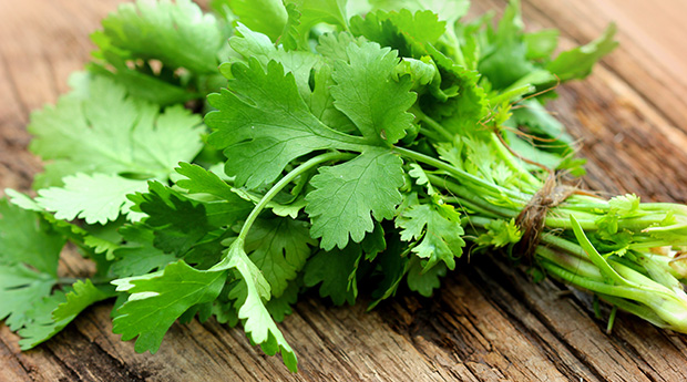 Cilantro: Love It or Hate It, This Healthy Herb Can Do the Body Good