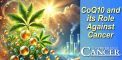 CoQ10 and Its Role Against Cancer
