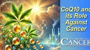 CoQ10 and Its Role Against Cancer