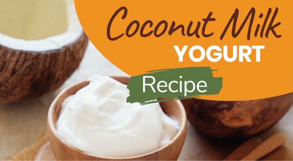 Probiotic-Rich Homemade Coconut Yogurt Recipe