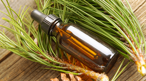 Cancer-fighting Phytochemicals in Coniferous Tree Essential Oils