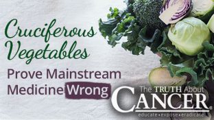 Cruciferous Vegetables Prove Mainstream Medicine Wrong
