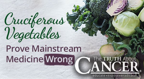 Cruciferous Vegetables Prove Mainstream Medicine Wrong