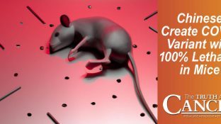 Chinese Create COVID Variant with 100% Lethality in Mice
