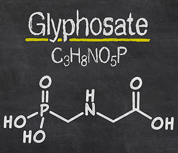 Blackboard with the chemical formula of Glyphosate
