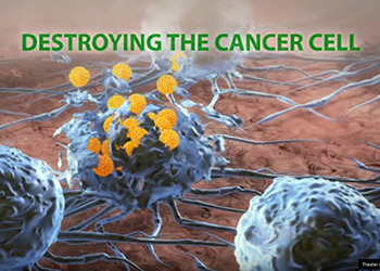 Destroying the Cancer Cells