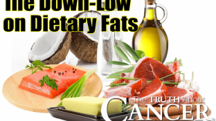 The Down-Low on Dietary Fats: Are You Getting Enough of the Right Ones?