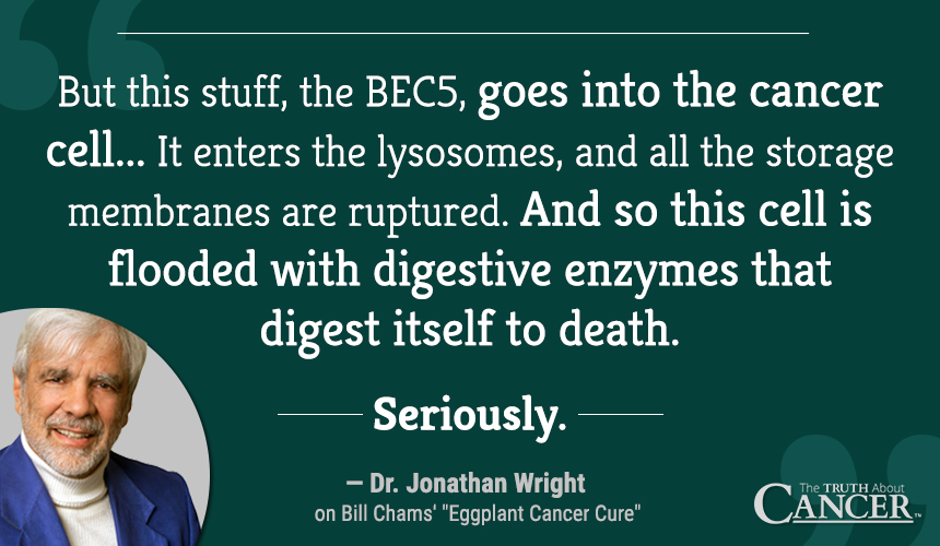 BEC5... Floods the cells with digestive enzymes that digest itself to death. Seriously. 
