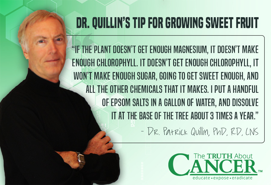 “If the plant doesn’t get enough magnesium, it doesn’t make enough chlorophyll...." - Dr. Patrick Quillin about Organic Gardening in the desert. Click on the Quote to watch the video interview.