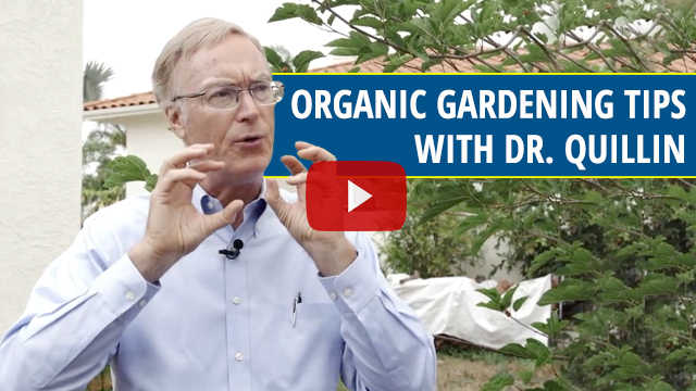 Organic Gardening With Dr. Patrick Quillin (video)