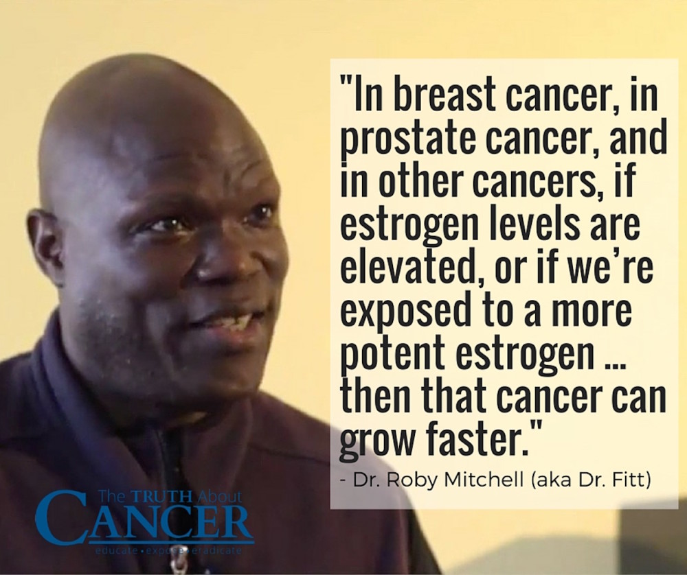 The Link Between Xenoestrogens and Cancer - Dr. Roby Mitchell (aka Dr. Fit)