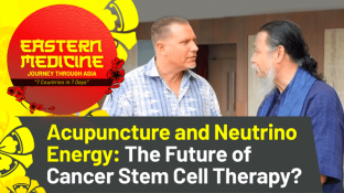Acupuncture and Neutrino Energy: The Future of Cancer Stem Cell Therapy?