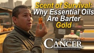Scent of Survival: Why Essential Oils Are Barter Gold Scent of Survival: Why Essential Oils Are Barter Gold