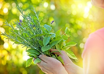 Eating fresh (and dried) herbs provides your body with numerous benefits including balancing hormones and boosting detoxification