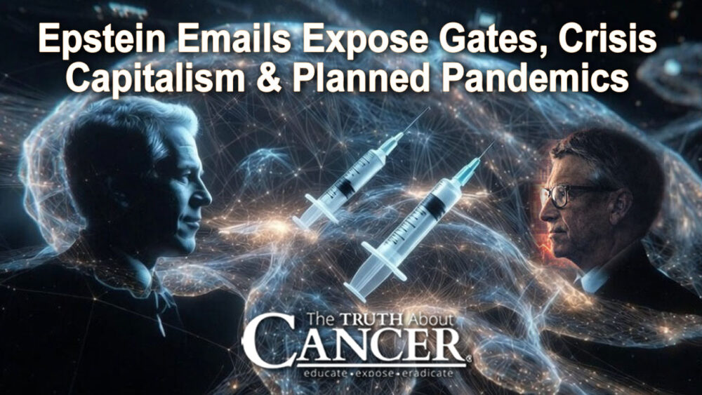🚨 Epstein Emails Expose Gates and the 20-Year Architecture of Crisis Capitalism with Pandemics as the Business Model 🚨 🚨 Epstein Emails Expose Gates and the 20-Year Architecture of Crisis Capitalism with Pandemics as the Business Model 🚨