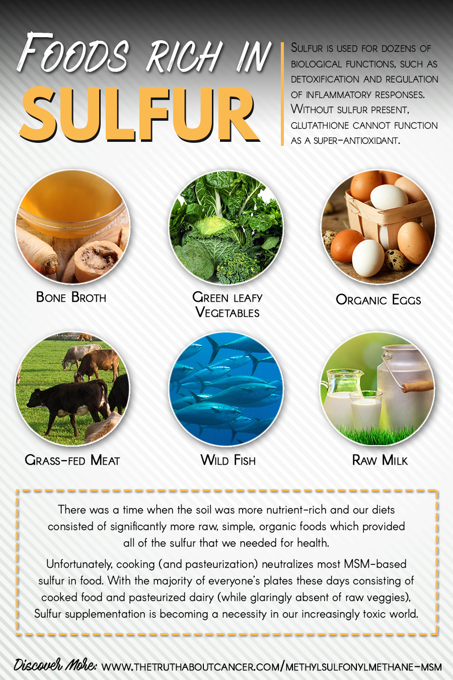Foods rich in Sulfur by The Truth About Cancer