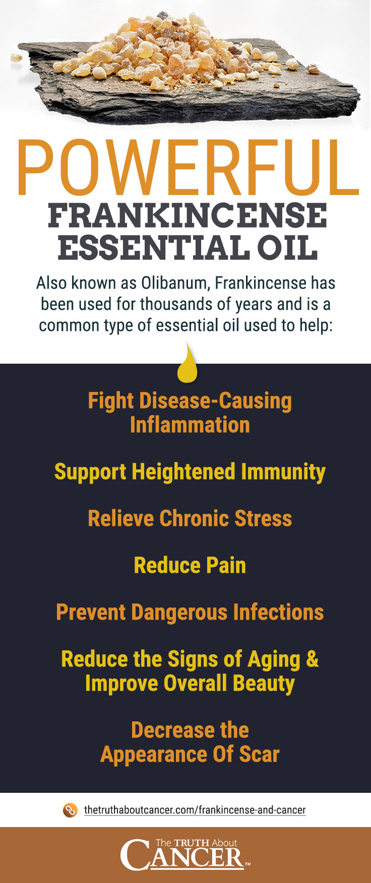 Frankincense and cancer benefits Infographic