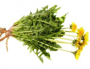 Fresh young dandelion leaves (from yards that have not been sprayed with pesticides) are a wonderful free source of bitter herbs