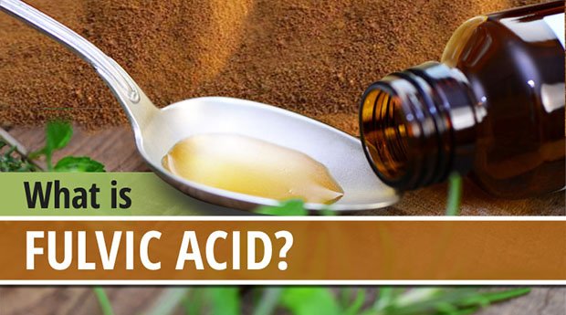 What is Fulvic Acid?
