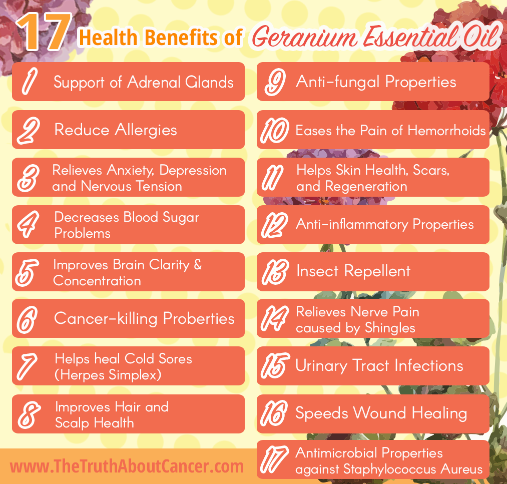 Geranium-Essential_oil-health-benefit-3