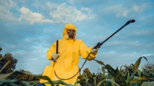 States Sue EPA Over Refusal to Ban Toxic Nerve Agent States Sue EPA Over Refusal to Ban Toxic Nerve Agent