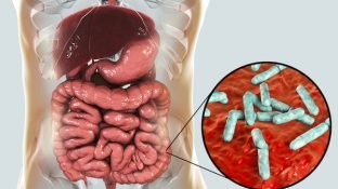 In Sickness and in Health: Everything You Need to Know About the Gut