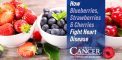 Unlocking Nature’s Defense: How Blueberries,...