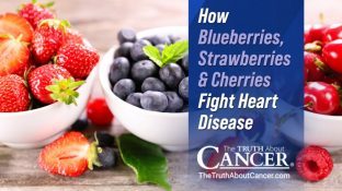 Unlocking Nature's Defense: How Blueberries, Strawberries & Cherries Fight Heart Disease