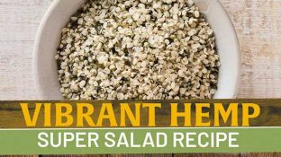 Vibrant Hemp Super Salad Recipe