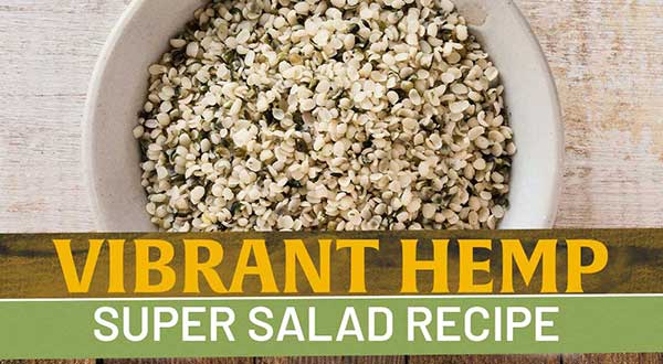 Vibrant Hemp Super Salad Recipe