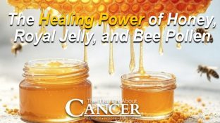 The Healing Power of Honey, Royal Jelly, and Bee Pollen The Healing Power of Honey, Royal Jelly, and Bee Pollen