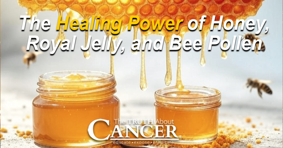 The Healing Power of Honey, Royal Jelly, and Bee Pollen