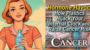 Hormone Havoc: How Plastics Hijack Your Internal Clock and Raise Cancer Risk