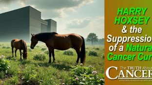 Harry Hoxsey & the Suppression of a Natural Cancer Cure
