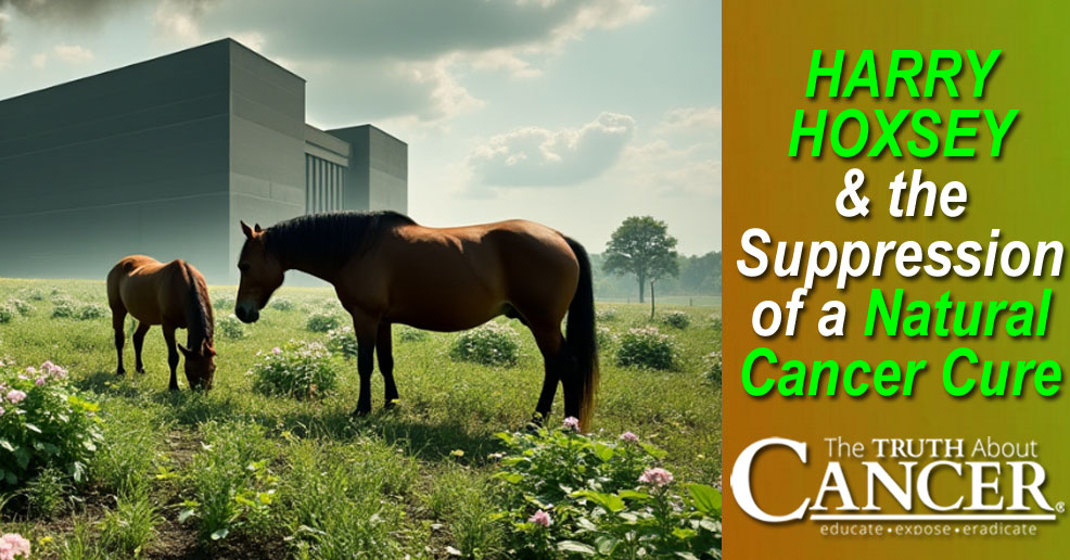 Harry Hoxsey & the Suppression of a Natural Cancer Cure Harry Hoxsey & the Suppression of a Natural Cancer Cure
