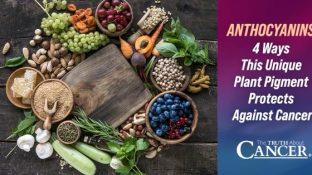 Anthocyanins: 4 Ways This Unique Plant Pigment Protects Against Cancer